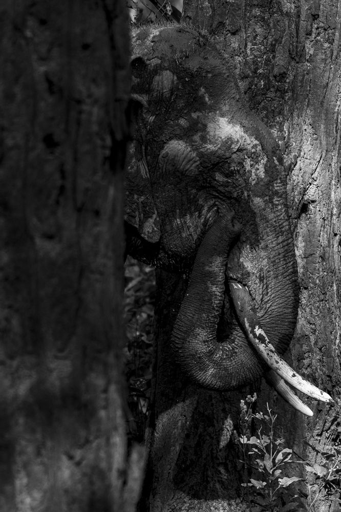 Photograph by Sandheep Pushkar