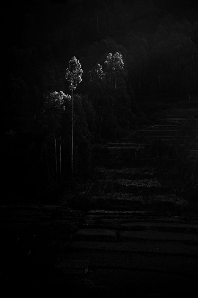 Photograph by Sandheep Pushkar