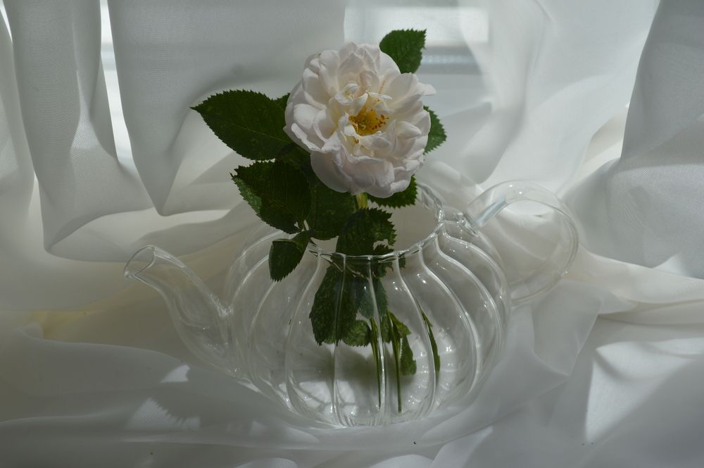 Photograph by Наталья Маслова