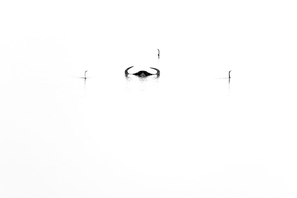 Photograph by Sandheep Pushkar