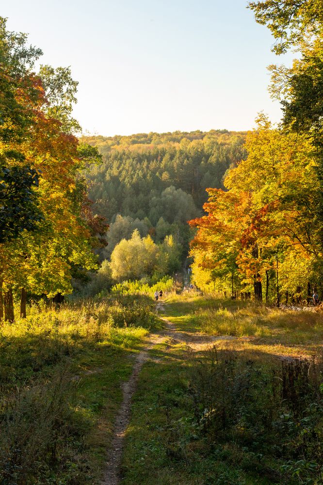 Photograph by Татьяна Штунь