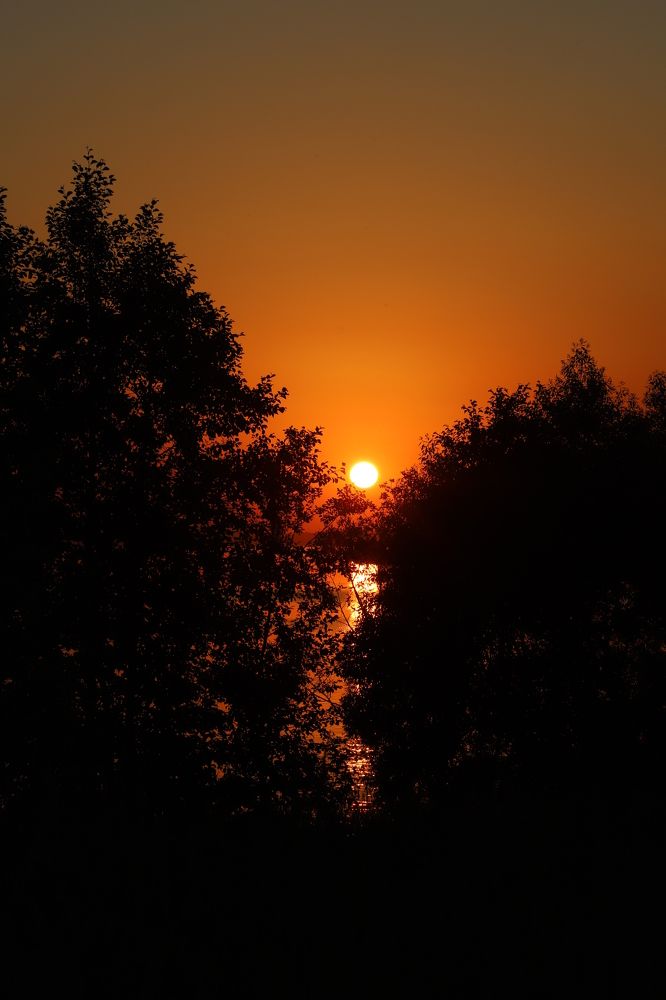 Photograph by Елена Сиднина