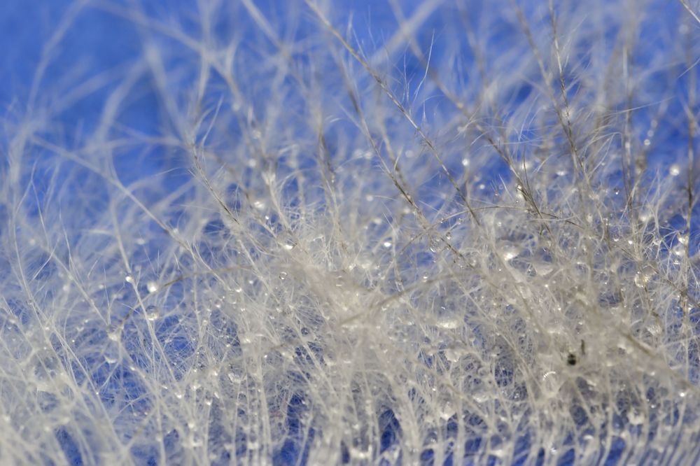 Photograph by Елена Иванова