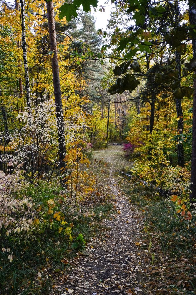 Photograph by Елена Иванова