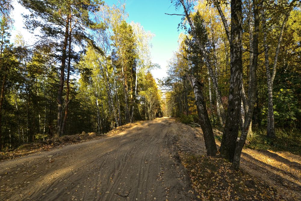 Photograph by Елена Иванова