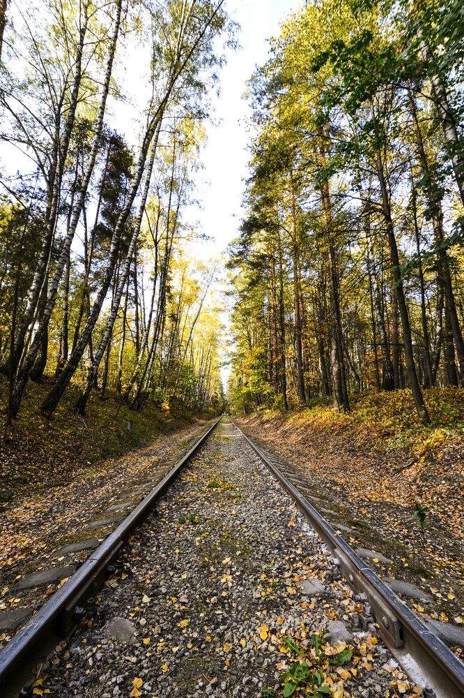 Photograph by Елена Иванова