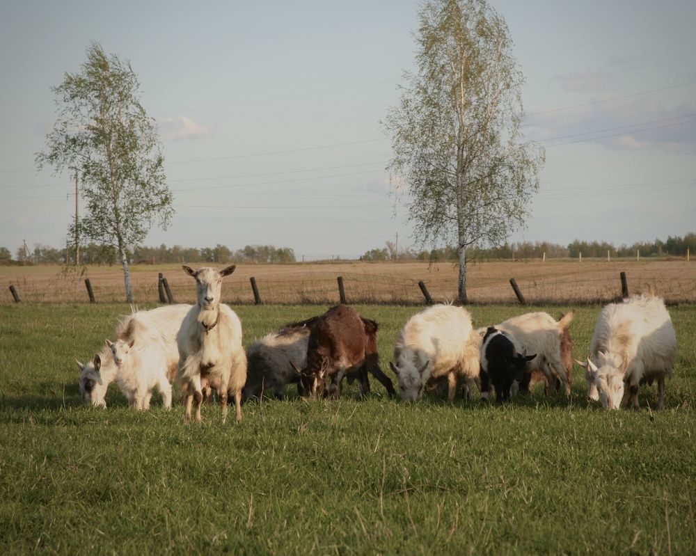 Фотография автора Ирина Мосько