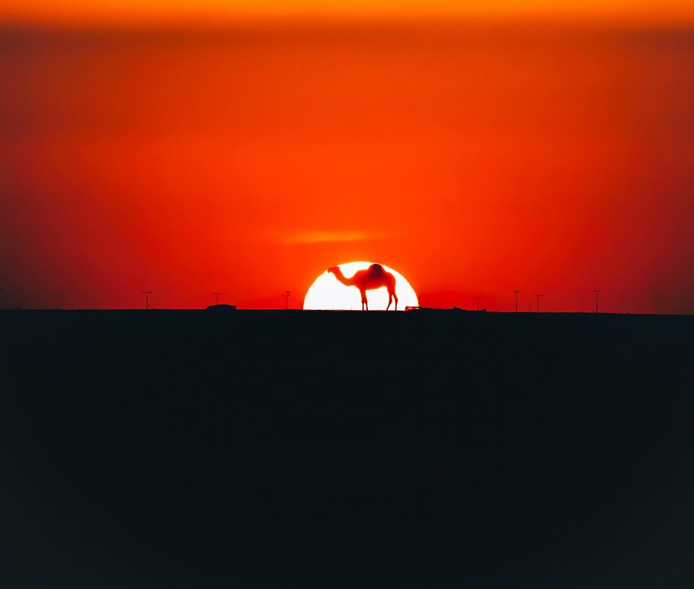 Photograph by Hasan Mahmud