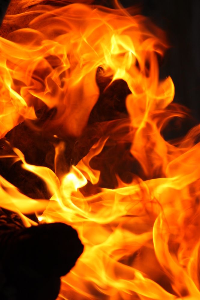 Photograph by Homayoun Tamaddon