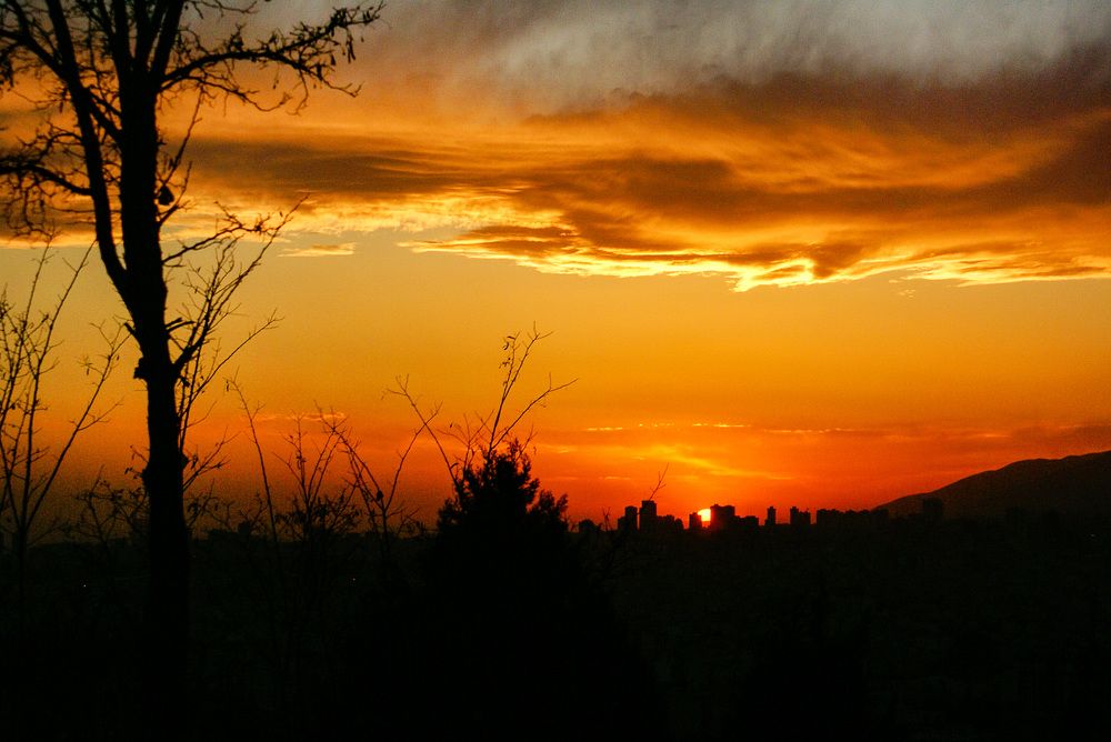 Photograph by Homayoun Tamaddon