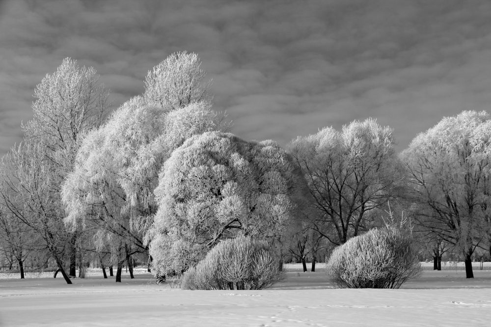 Зимний день