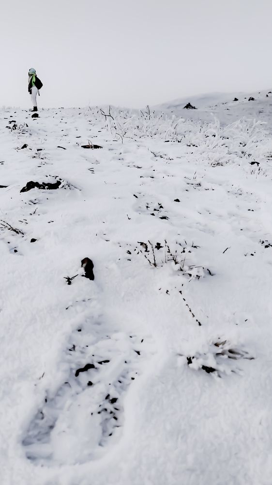 Photograph by Kostantin Belonogov