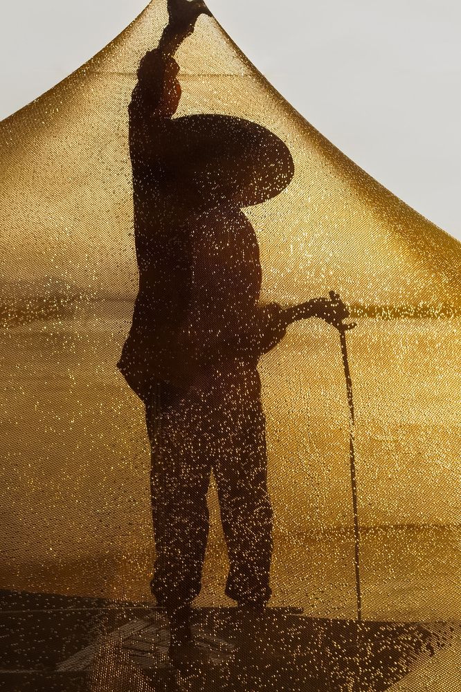 Фотография автора Aymeric