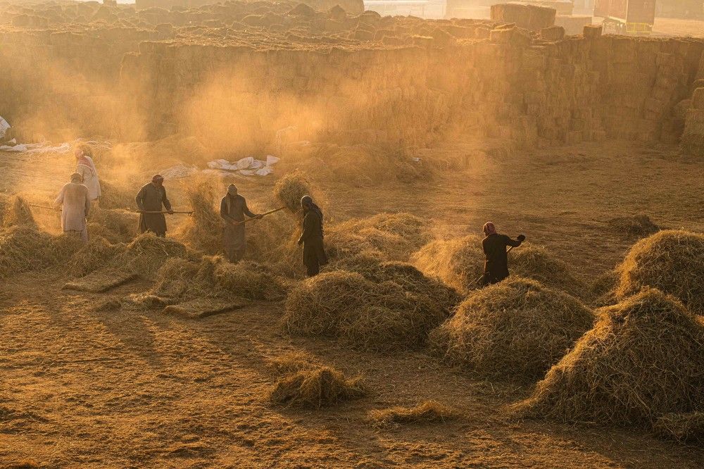 Photograph by Zubair Irshad