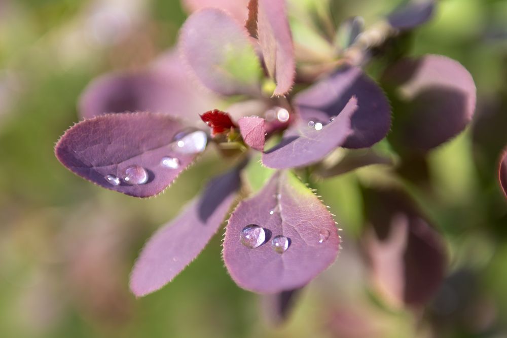 Photograph by Алексей Новиков