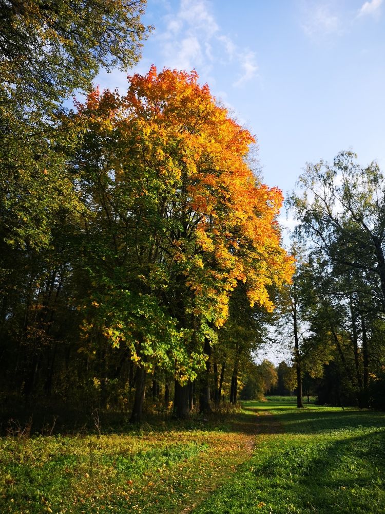 Photograph by Liubov Tarasova