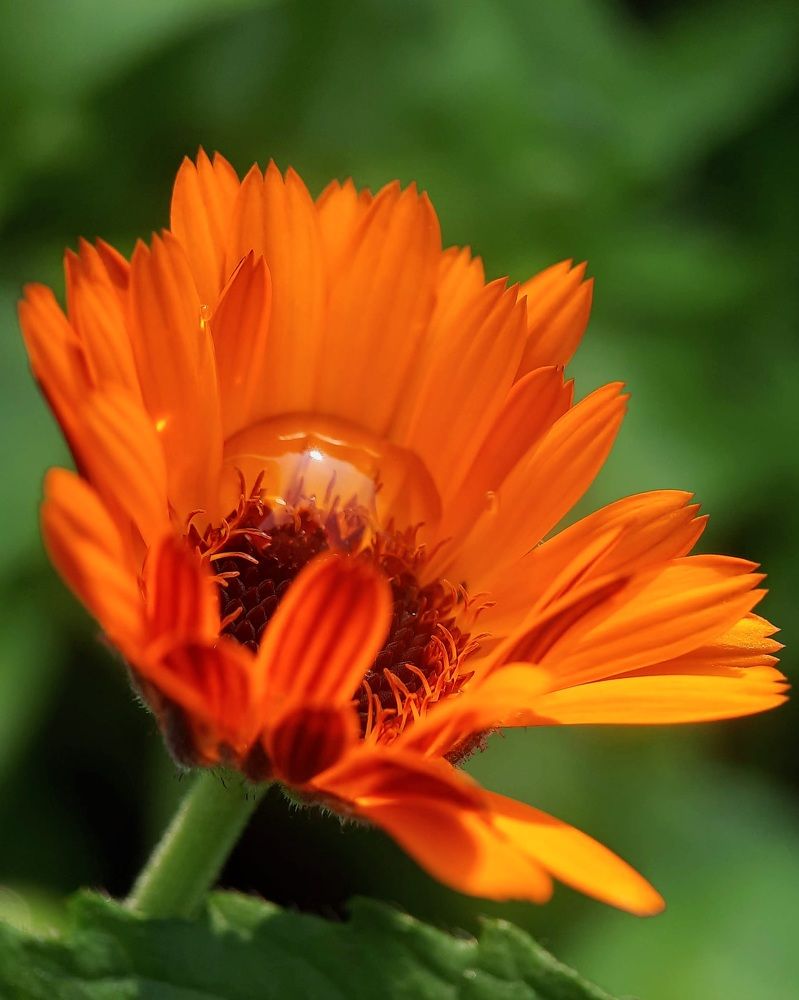 Photograph by Любовь Войтишина