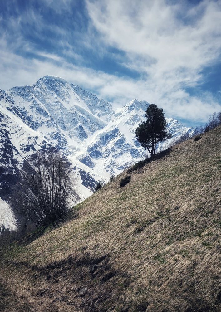 Photograph by Светлана Гаранина