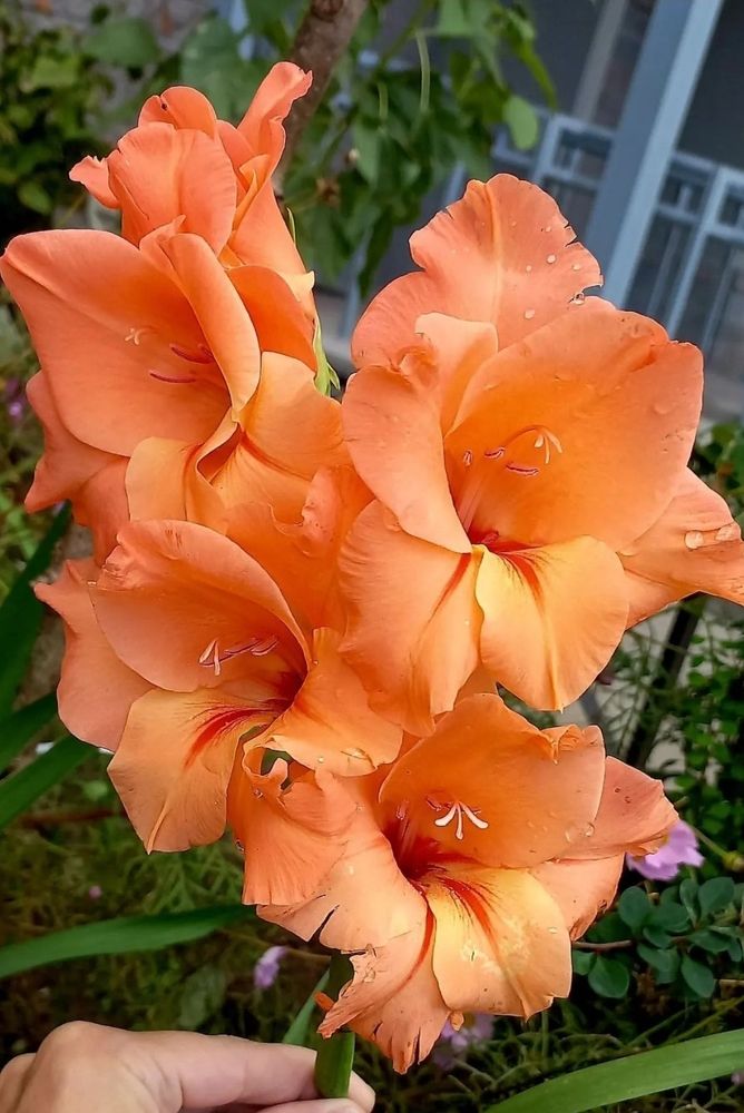 Photograph by Каковкина Ольга