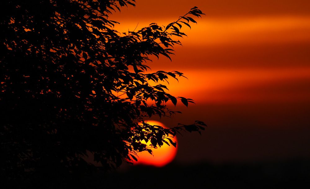 Оранжевое солнце