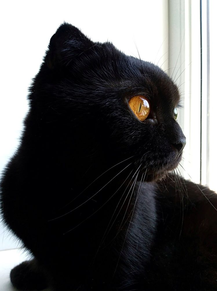 Photograph by Elena Lopatina