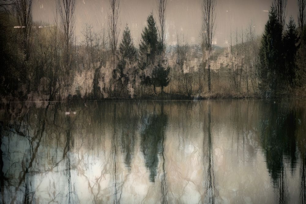 Фотография автора Martineb