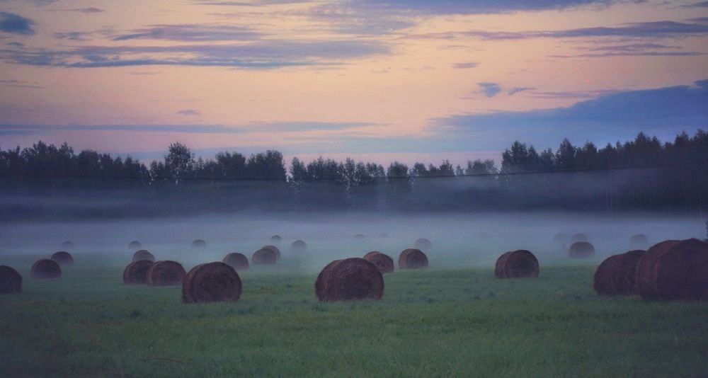 Photograph by Maria Anton