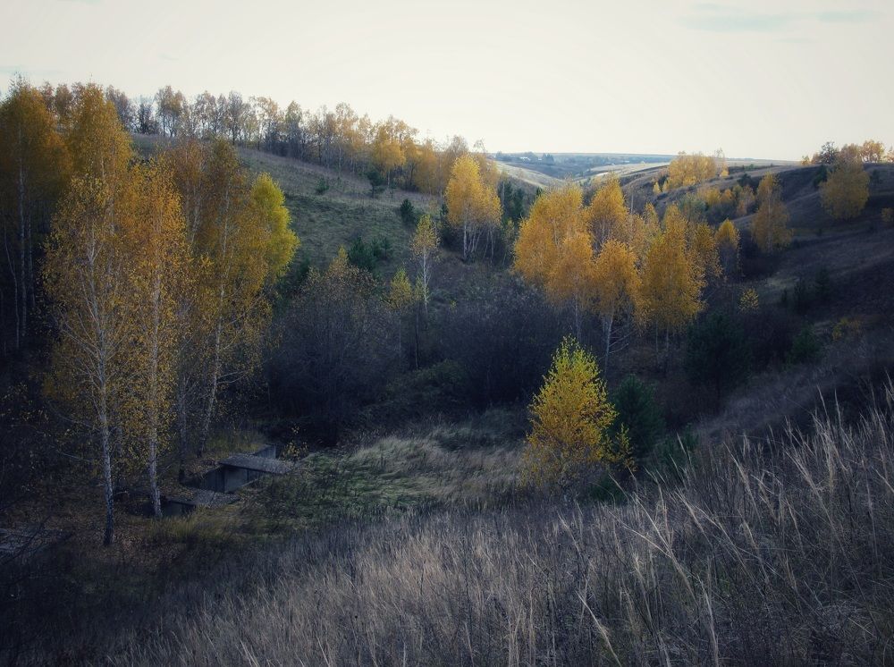 Photograph by Светлана Гаранина