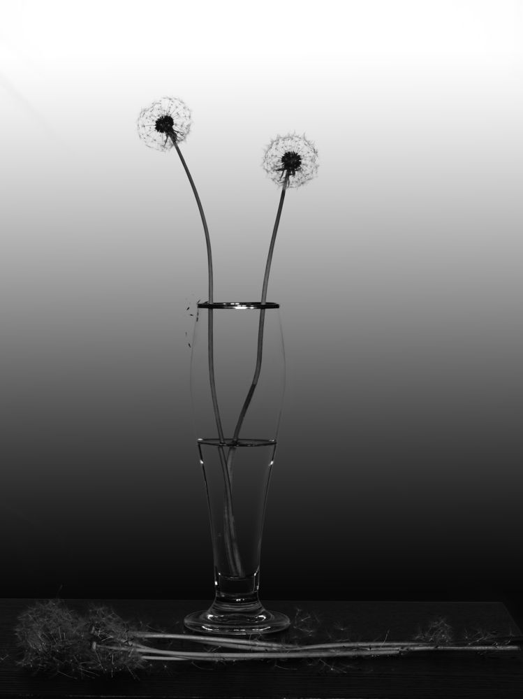 Photograph by Aleksandr Belov