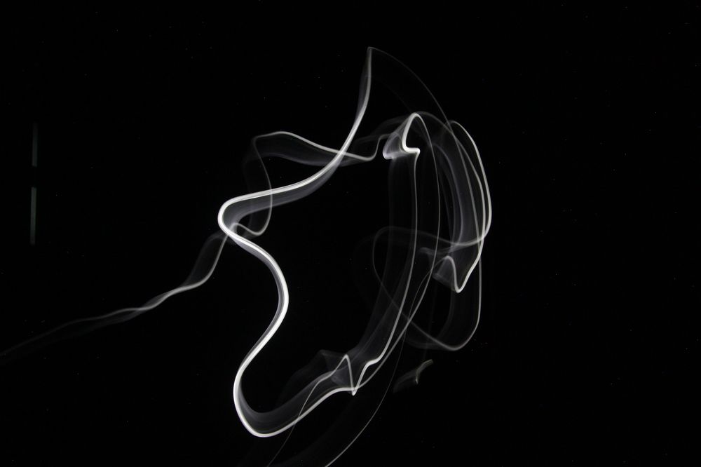 Photograph by Dewindu H. Fernando