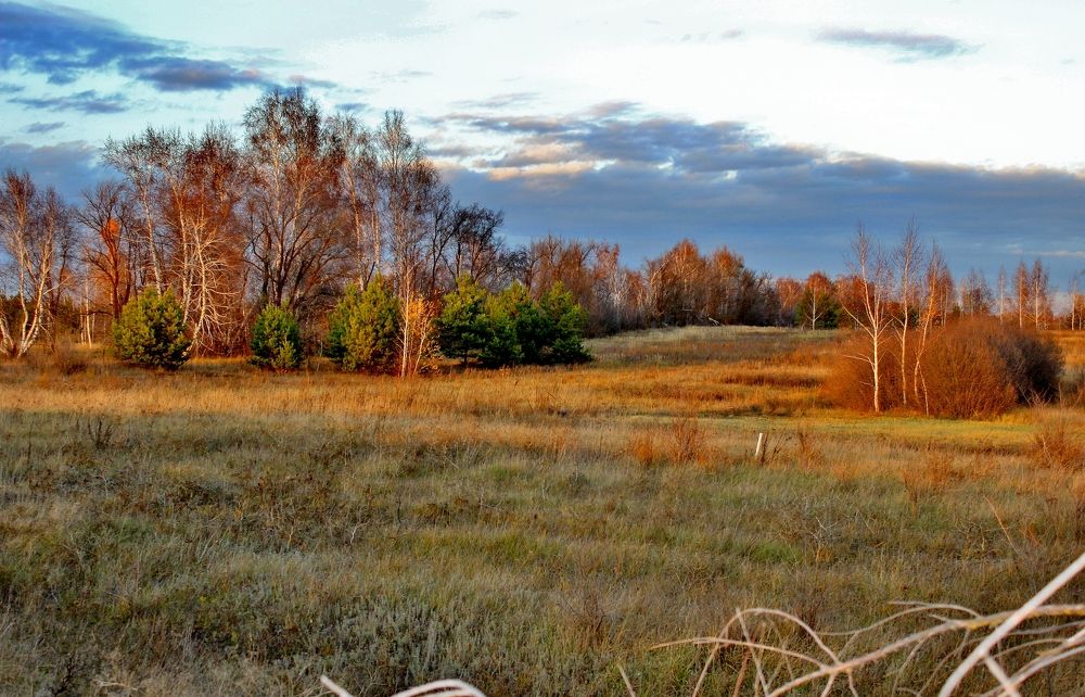 Photograph by Анна Восковых