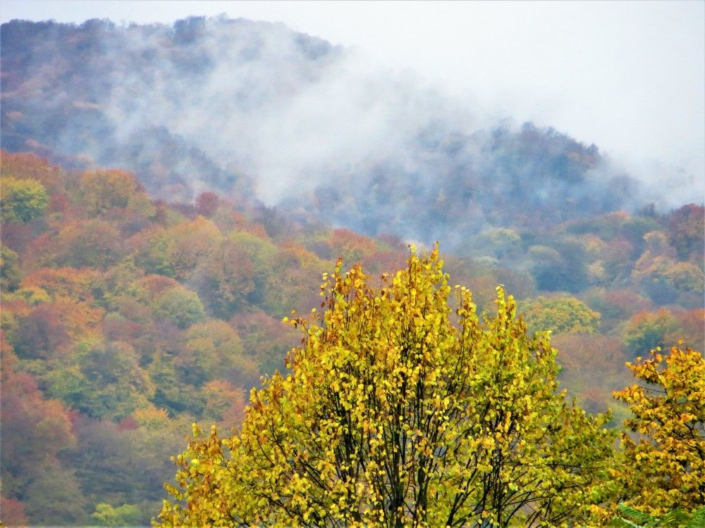 Photograph by Галина