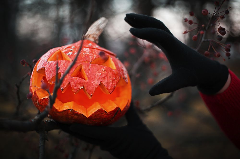 Photograph by Ольга Кривенцова