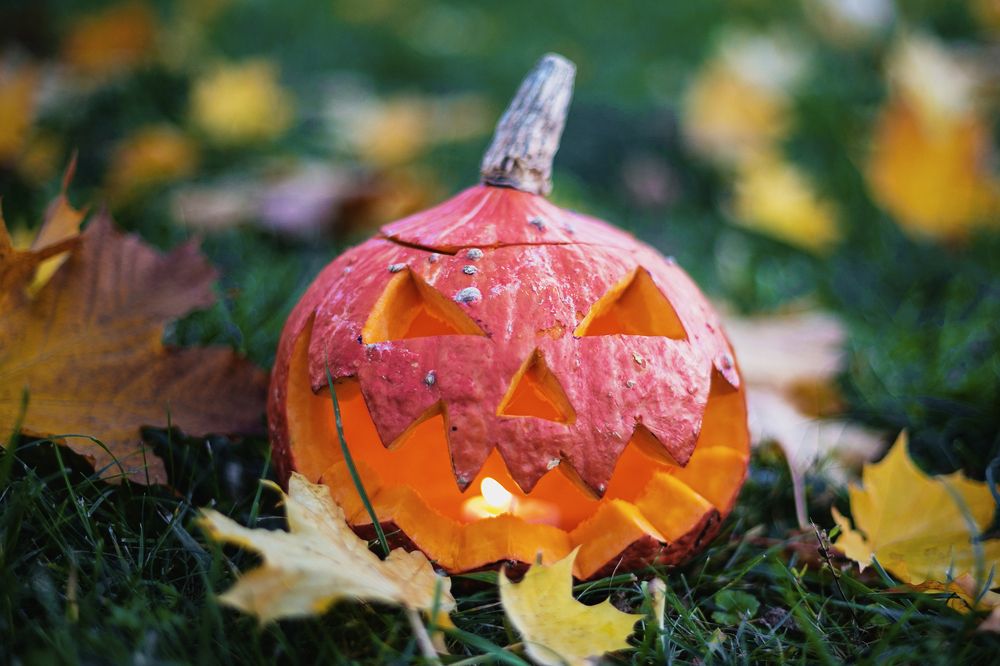 Photograph by Ольга Кривенцова