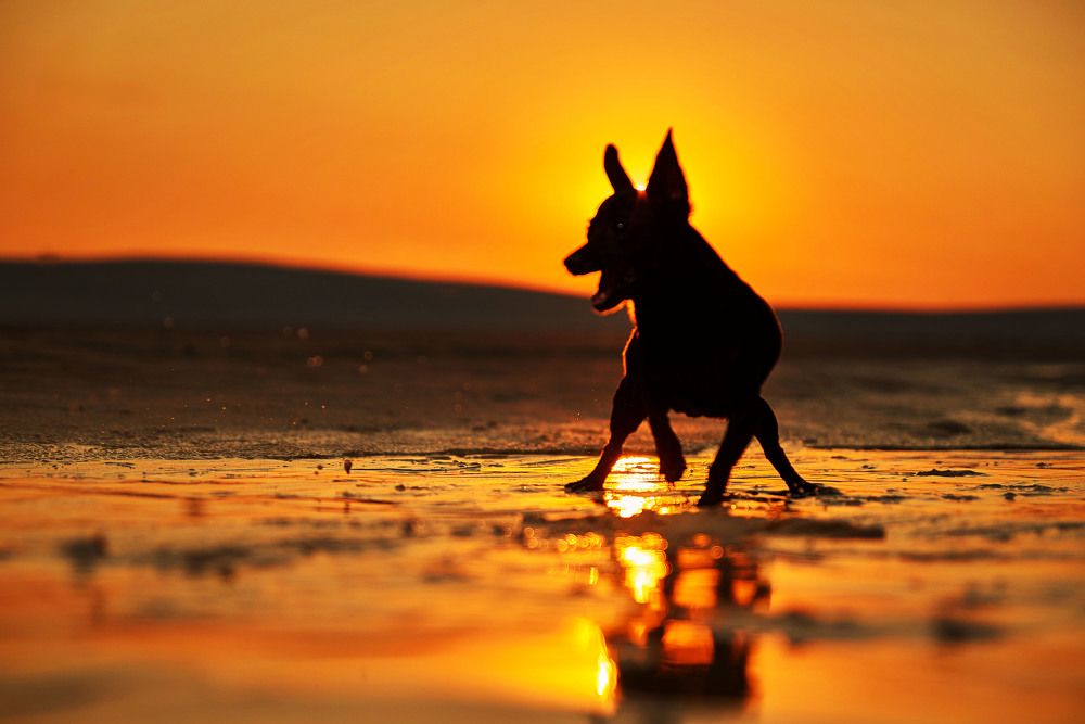 Photograph by Андрей Халемонец