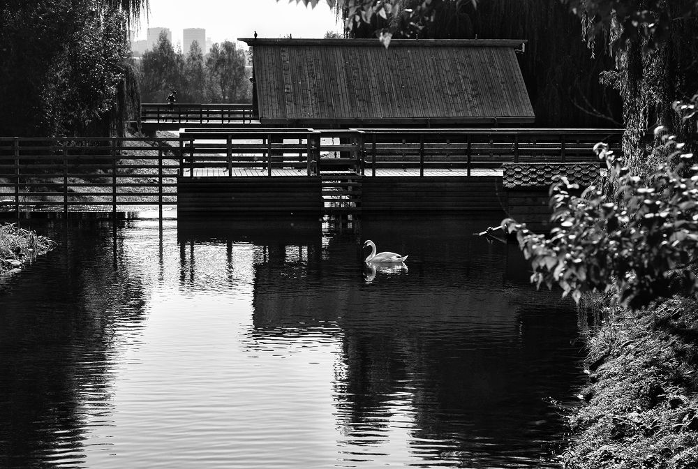 Photograph by Vera Trandina