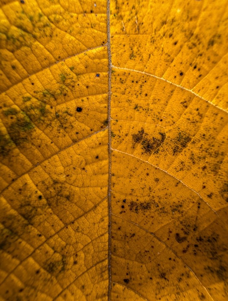 Photograph by Evgenia Privalova