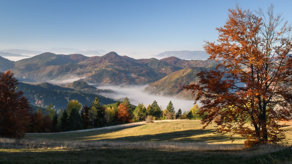 Photograph by Антон Ростовский