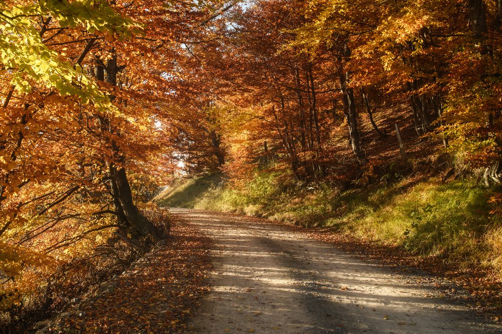 Photograph by Антон Ростовский