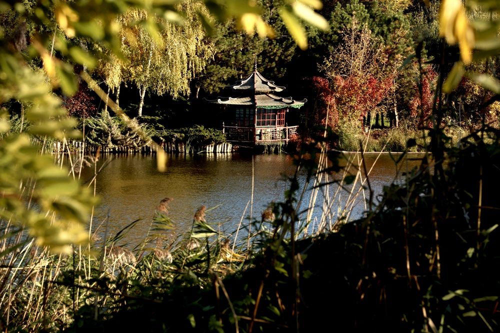 Photograph by Виктория Борисенко