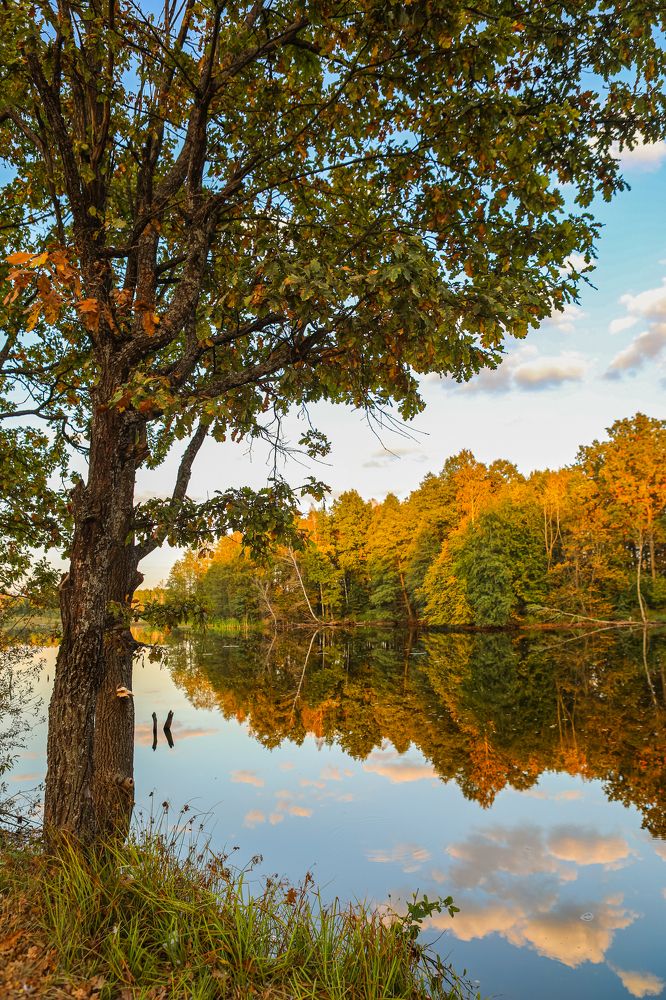 Photograph by Светлана Солдатченкова