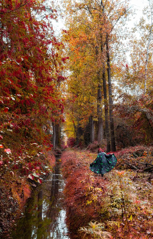 Photograph by Riahi Hosein