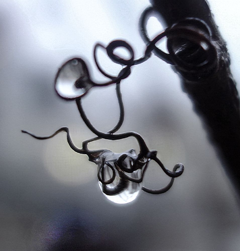 Photograph by IRINA KORNEVA