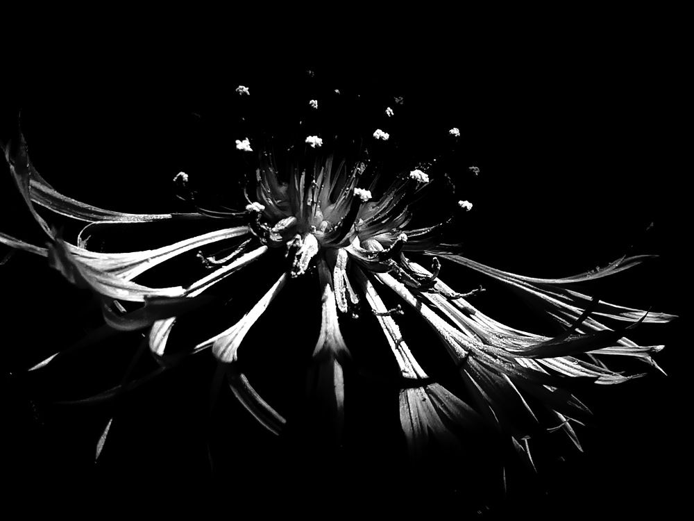 Photograph by Лада Денисова