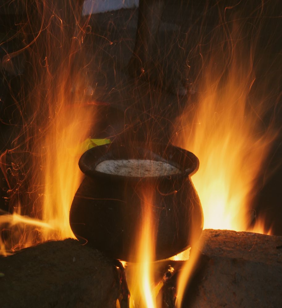 Photograph by Dewindu H. Fernando