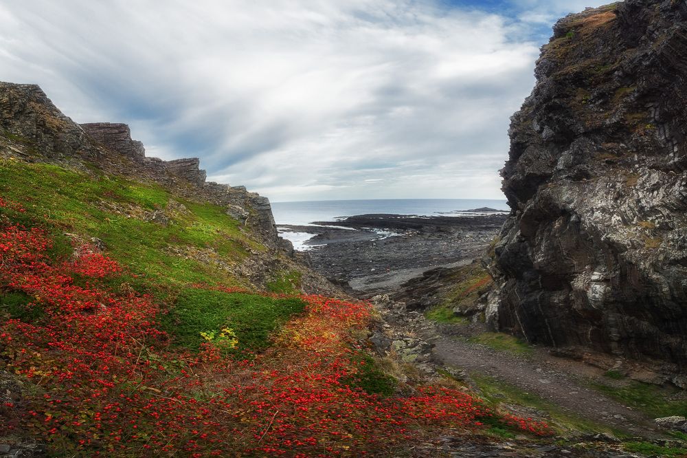 По красной ковровой дорожке