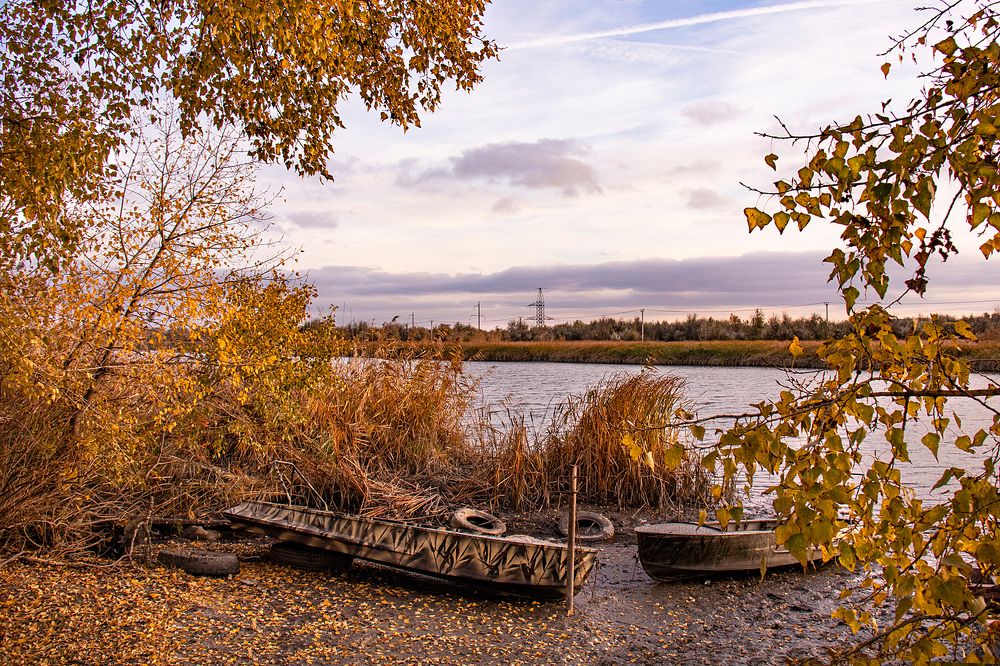 Photograph by Алла Шевченко