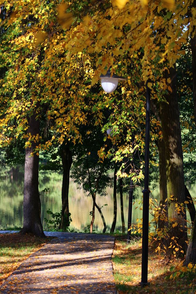 Photograph by Светлана Шуткова