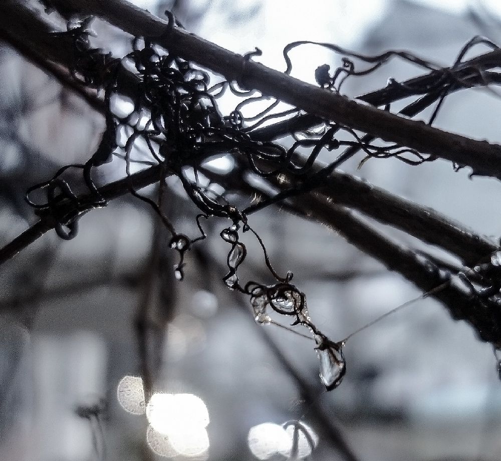 Photograph by IRINA KORNEVA