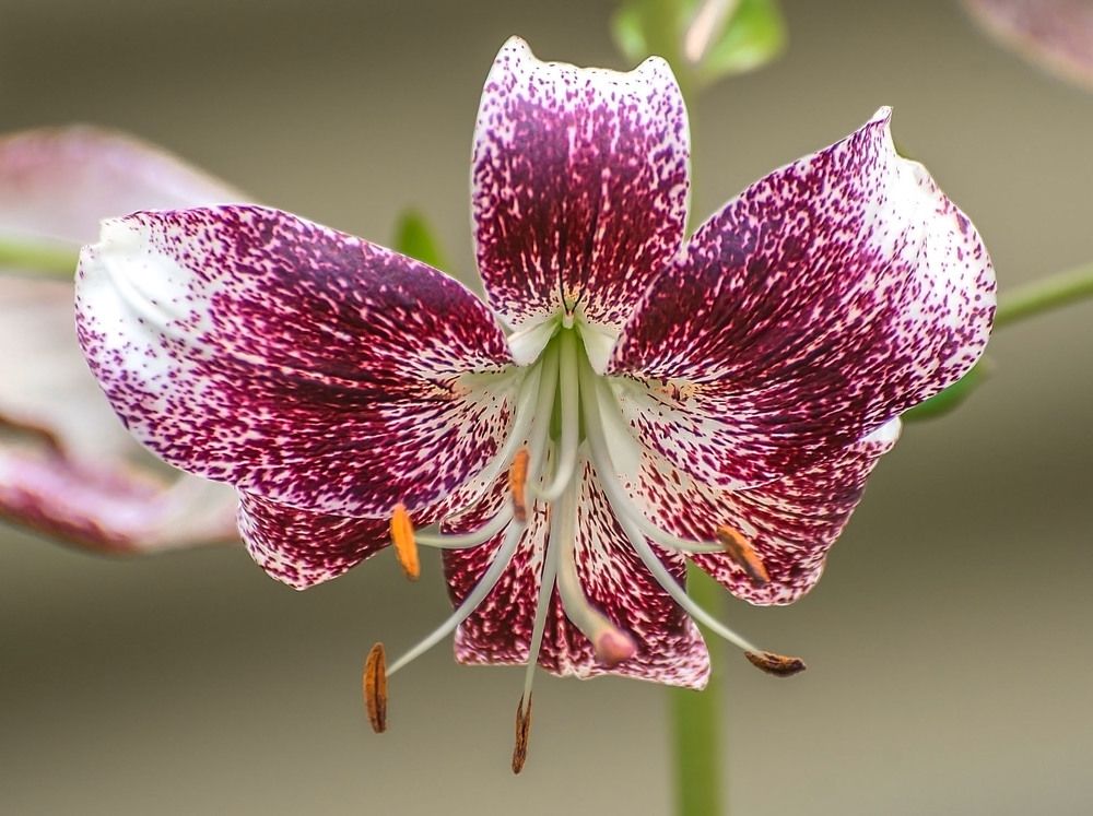 Photograph by Сергей